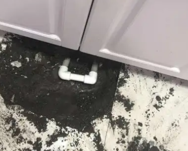瑞金查漏水哪家好